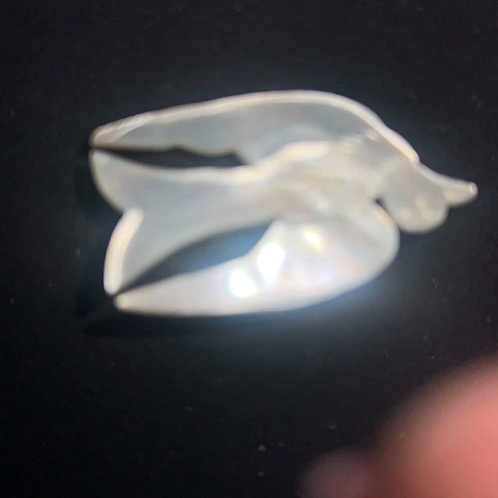 Elegant Mother of Pearl Bird Brooch